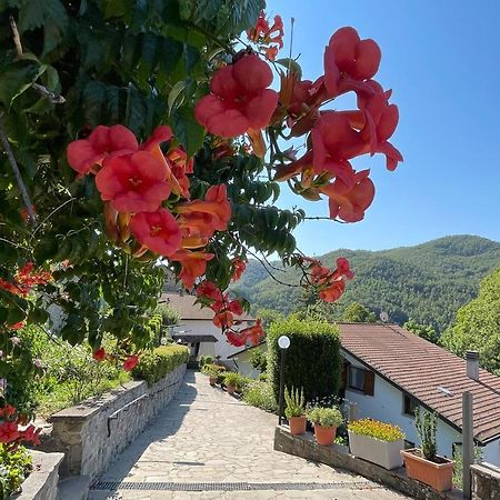 La Casa Di Gloria - Residence Affitta Camere Badia Prataglia Bagian luar foto