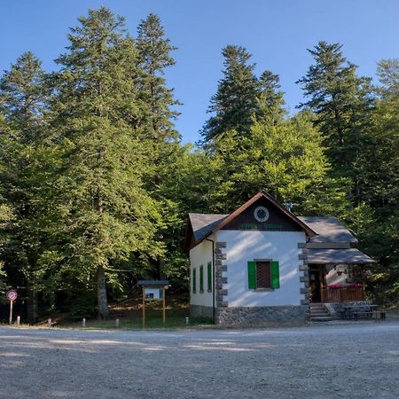 La Casa Di Gloria - Residence Affitta Camere Badia Prataglia Bagian luar foto