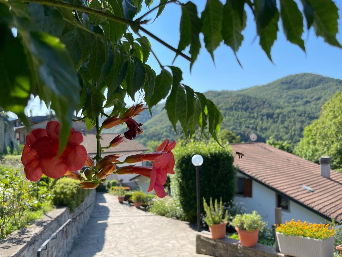 La Casa Di Gloria - Residence Affitta Camere Badia Prataglia Bagian luar foto