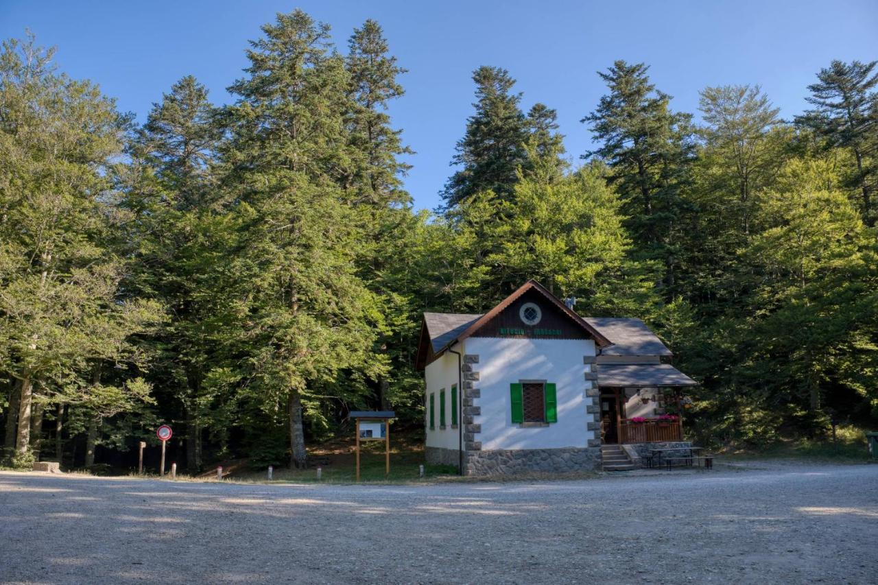 La Casa Di Gloria - Residence Affitta Camere Badia Prataglia Bagian luar foto